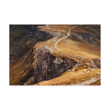 Mihai Ian Nedelcu 'Alpine Pastures' Canvas Art,30x47